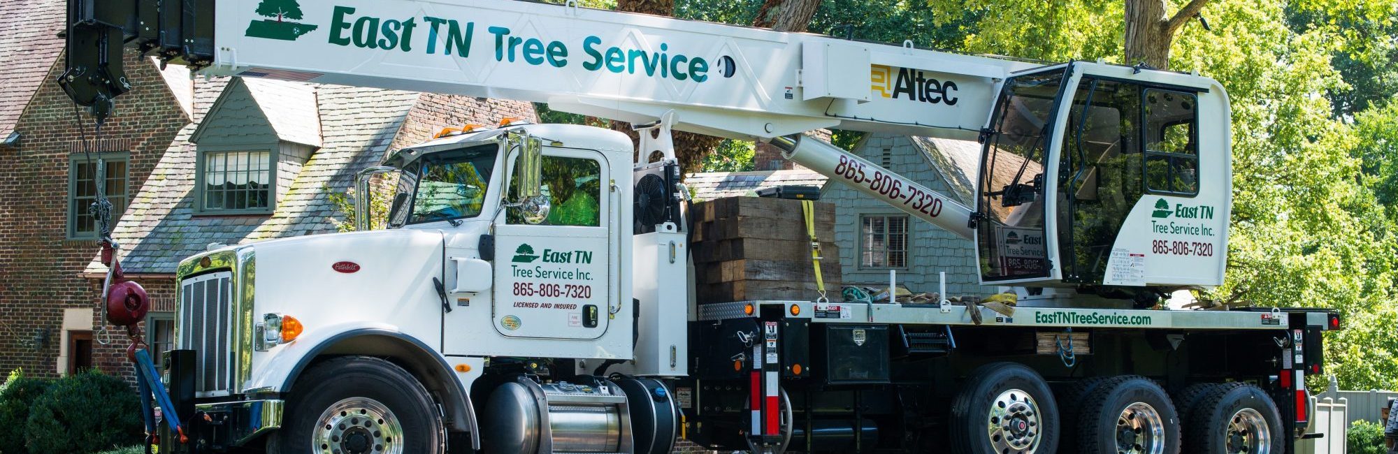 East TN Tree Service & Tree Removal in Knoxville, TN