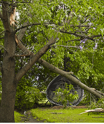 fallen tree and lawn debris after storm